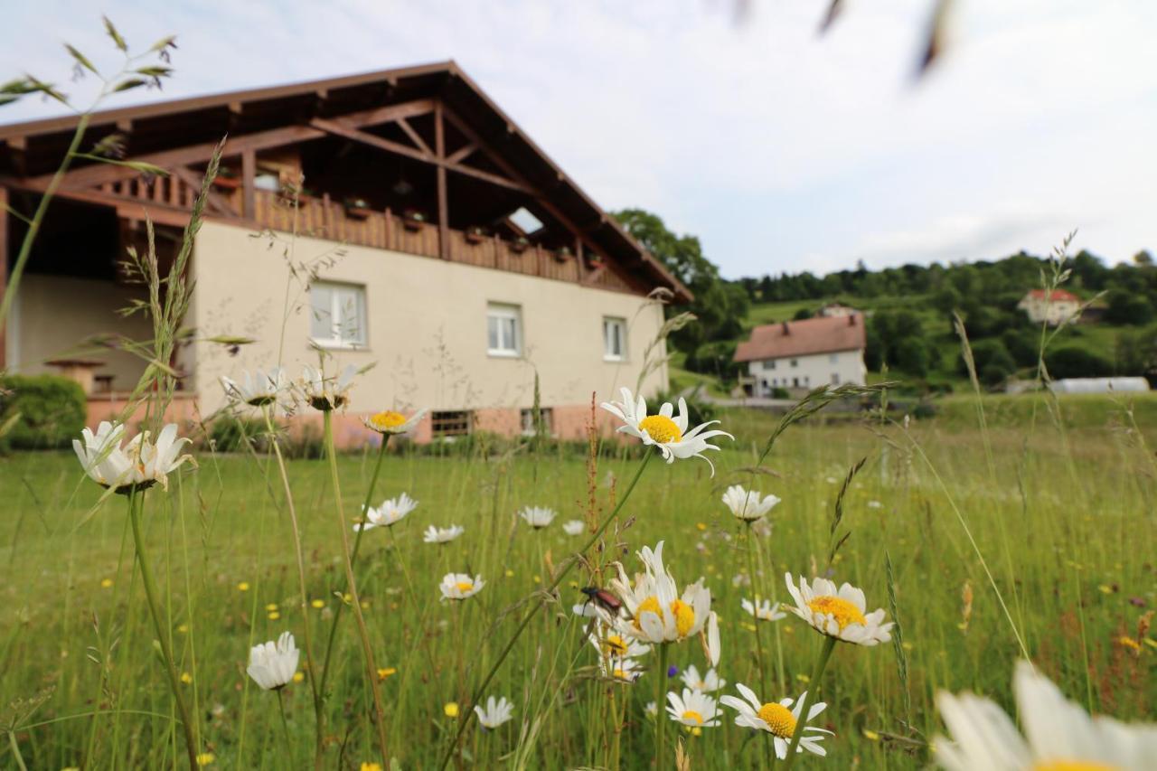 Les Chantenees La Bresse Exterior foto